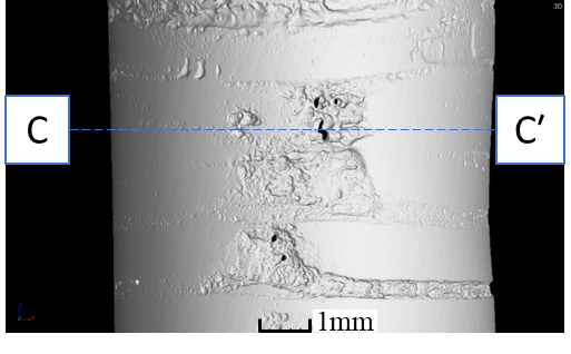 図１０　試料Cの三次元画像