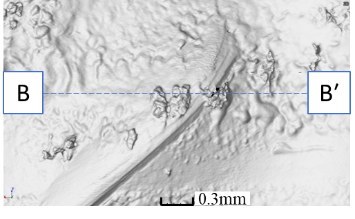 図６　試料Bの三次元画像